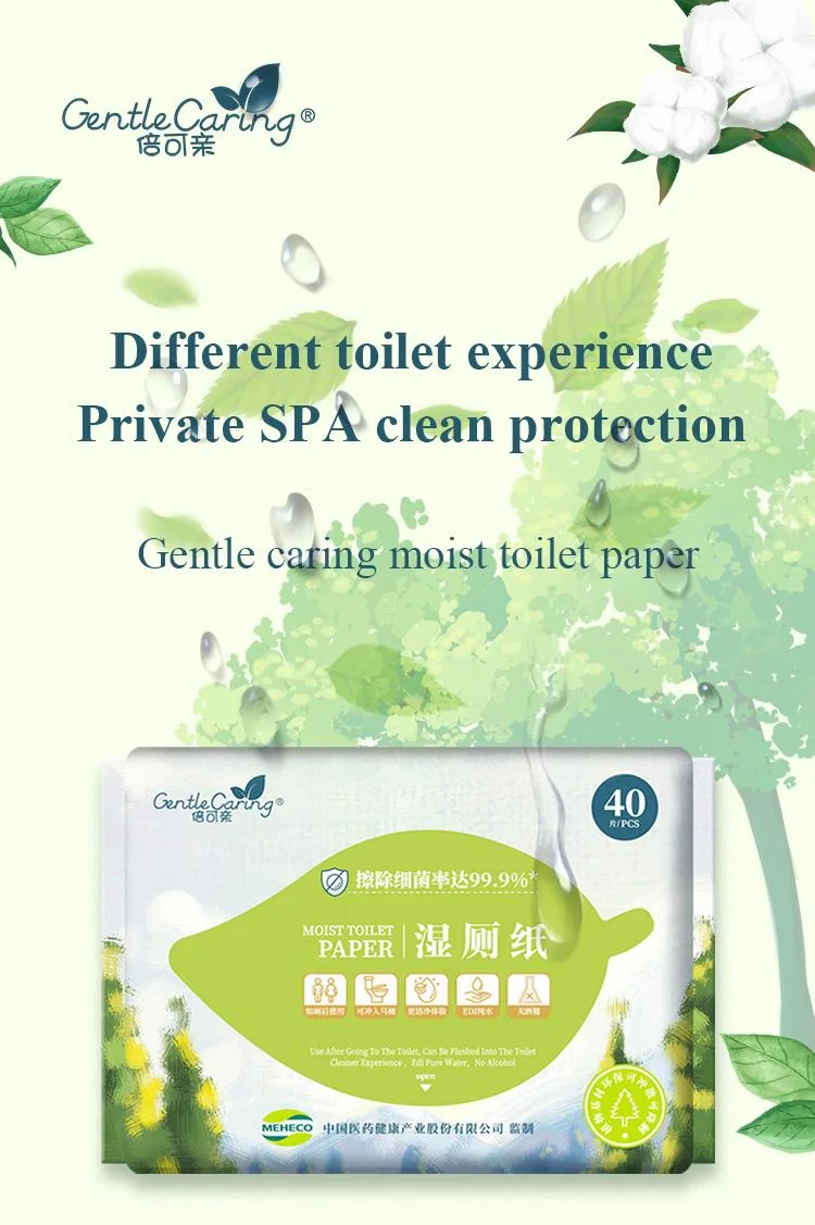 Re-Sealable Top Flushable Toilet Paper Holder Wet Wipes with Aloe
