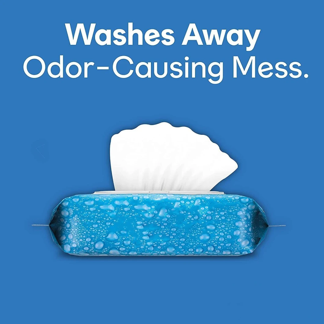 Best Sell Flushable Wet Wipes Adult Wet Wipes
