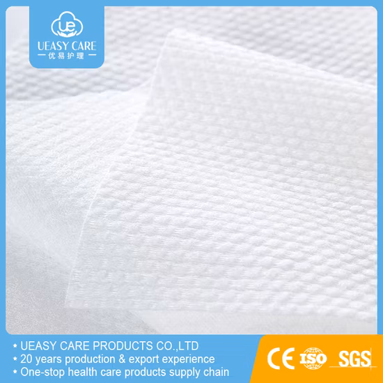 Top Sell Multi-Purpose Kitchen Disposable Dry Wet Wipes