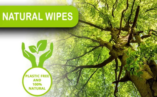 Biokleen OEM ODM Manufacturer Sample Customization 80PCS Eco Friendly Organic Biodegradable Bamboo Wipes Sensitive Skin Cleaning 100% Natural Baby Wet Wipes